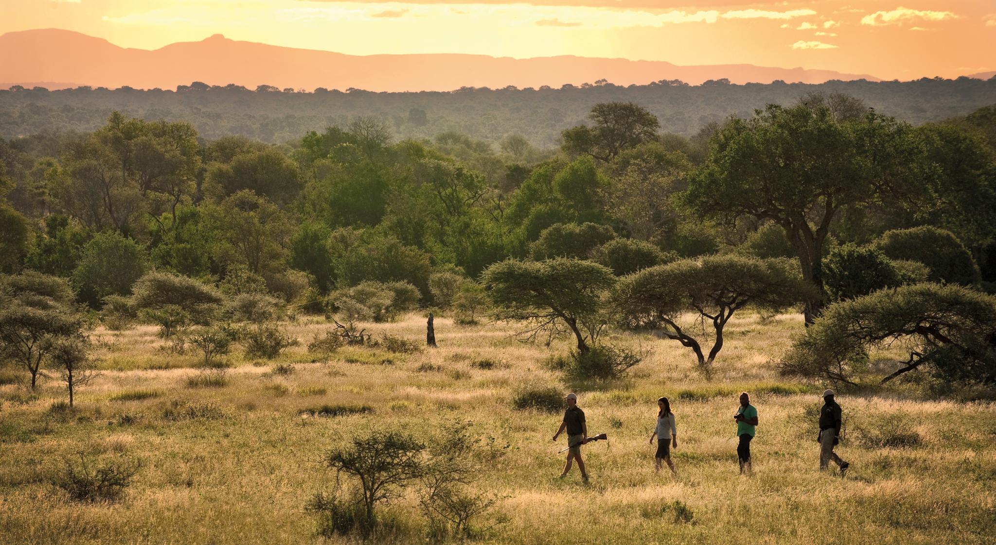 Lion Sands Narina Lodge Sabi Sand Game Reserve Luaran gambar