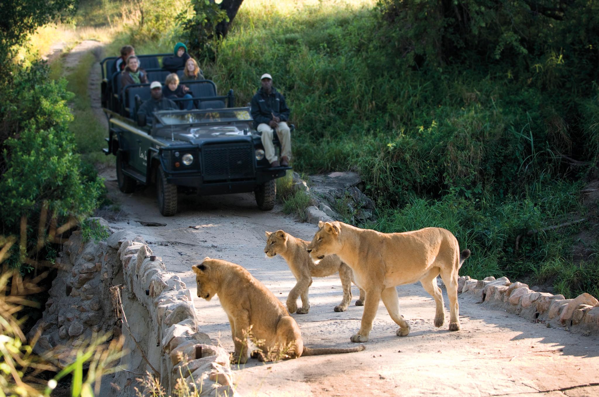Lion Sands Narina Lodge Sabi Sand Game Reserve Luaran gambar