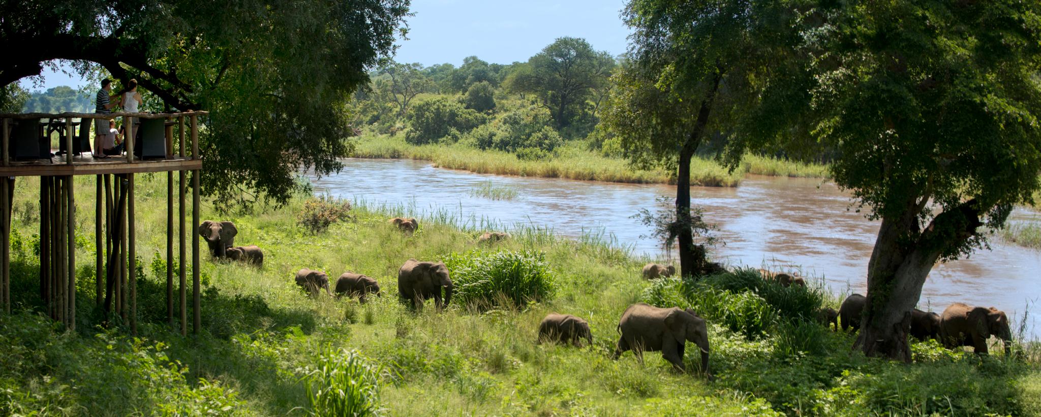 Lion Sands Narina Lodge Sabi Sand Game Reserve Luaran gambar