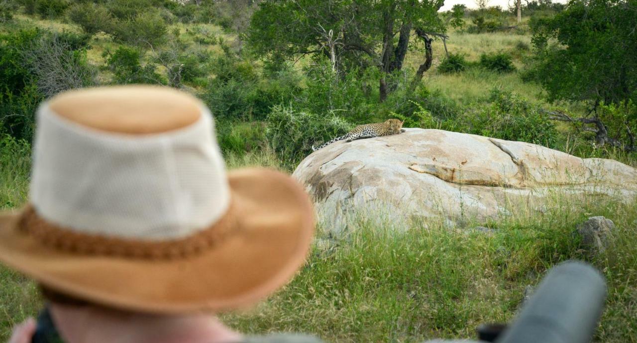 Lion Sands Narina Lodge Sabi Sand Game Reserve Luaran gambar