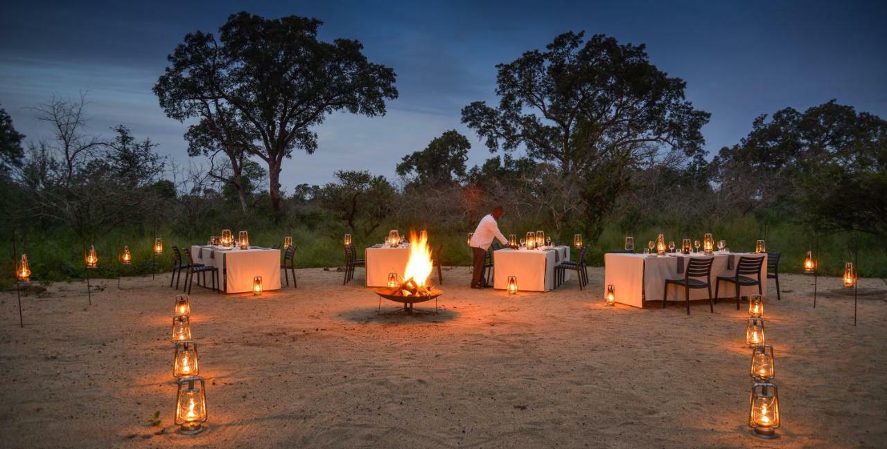 Lion Sands Narina Lodge Sabi Sand Game Reserve Luaran gambar